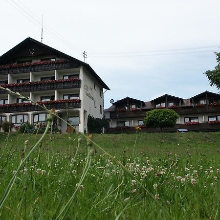 Отель Landgasthof Waldfrieden Wildensee Экстерьер фото