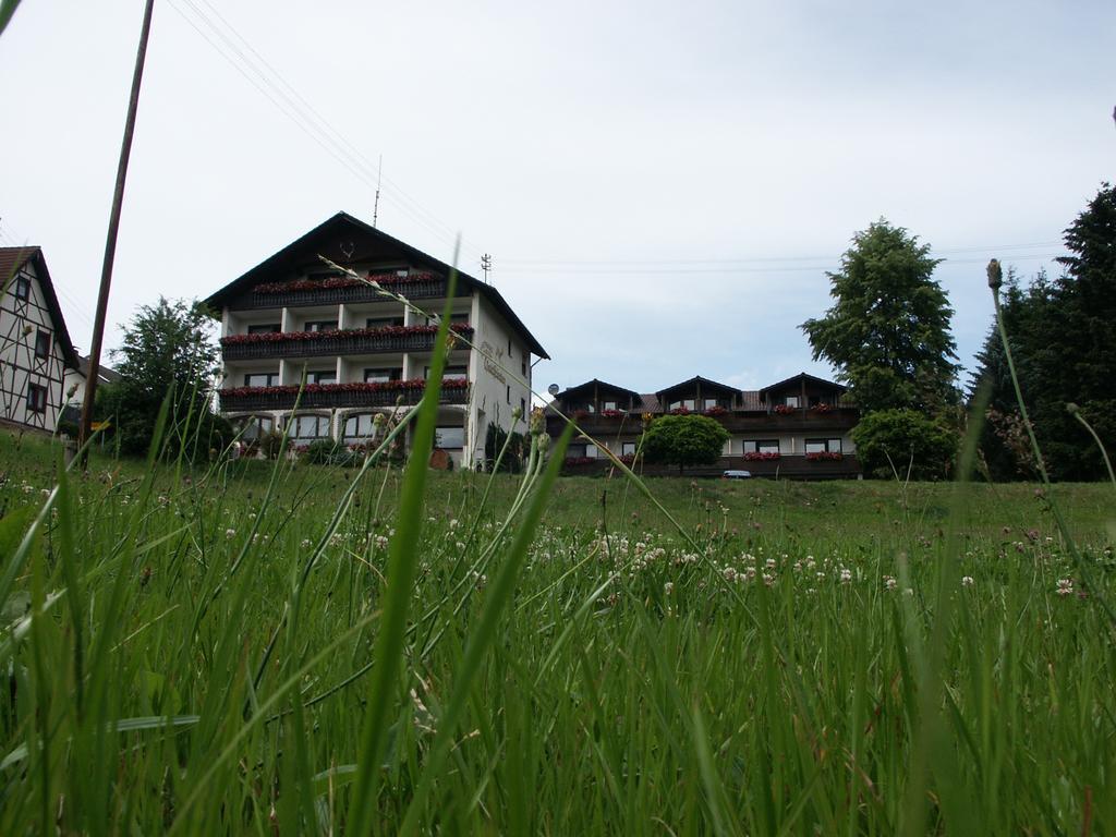 Отель Landgasthof Waldfrieden Wildensee Экстерьер фото