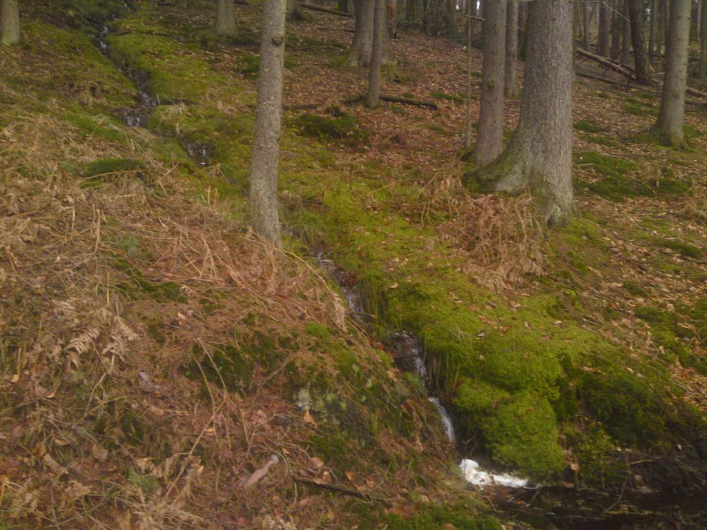 Отель Landgasthof Waldfrieden Wildensee Экстерьер фото
