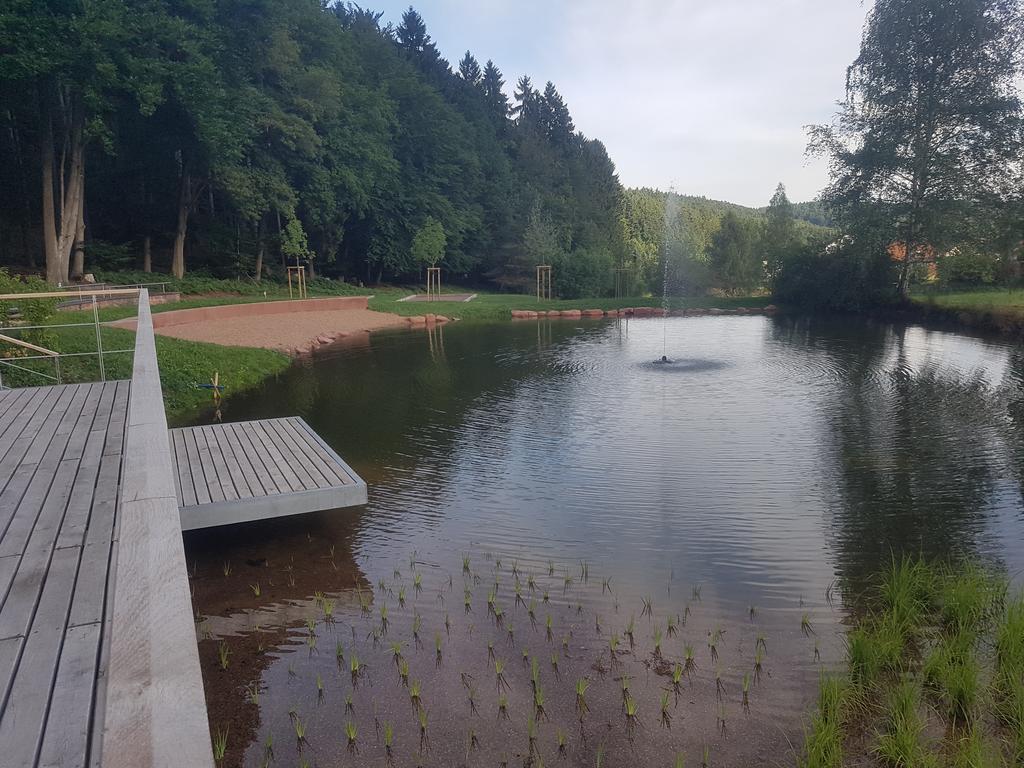 Отель Landgasthof Waldfrieden Wildensee Экстерьер фото