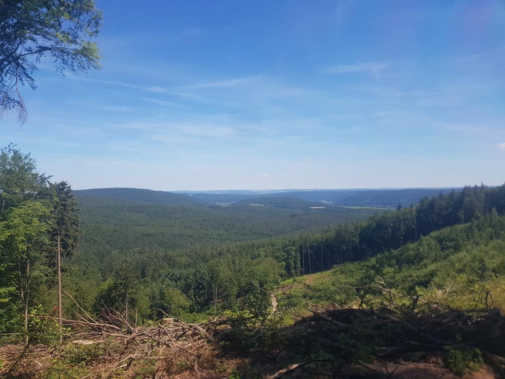 Отель Landgasthof Waldfrieden Wildensee Экстерьер фото